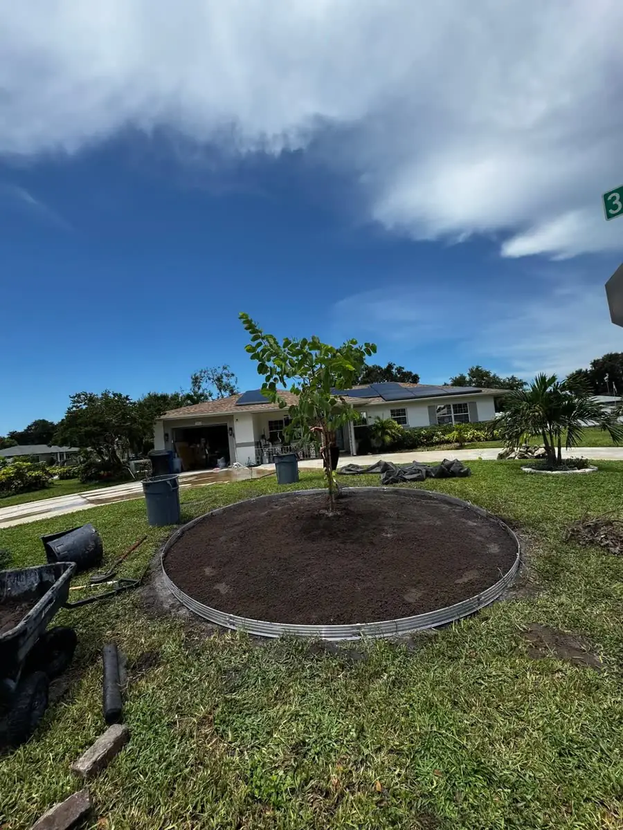 The same front-yard circle, levelled and edged in steel, with a young tree planted.