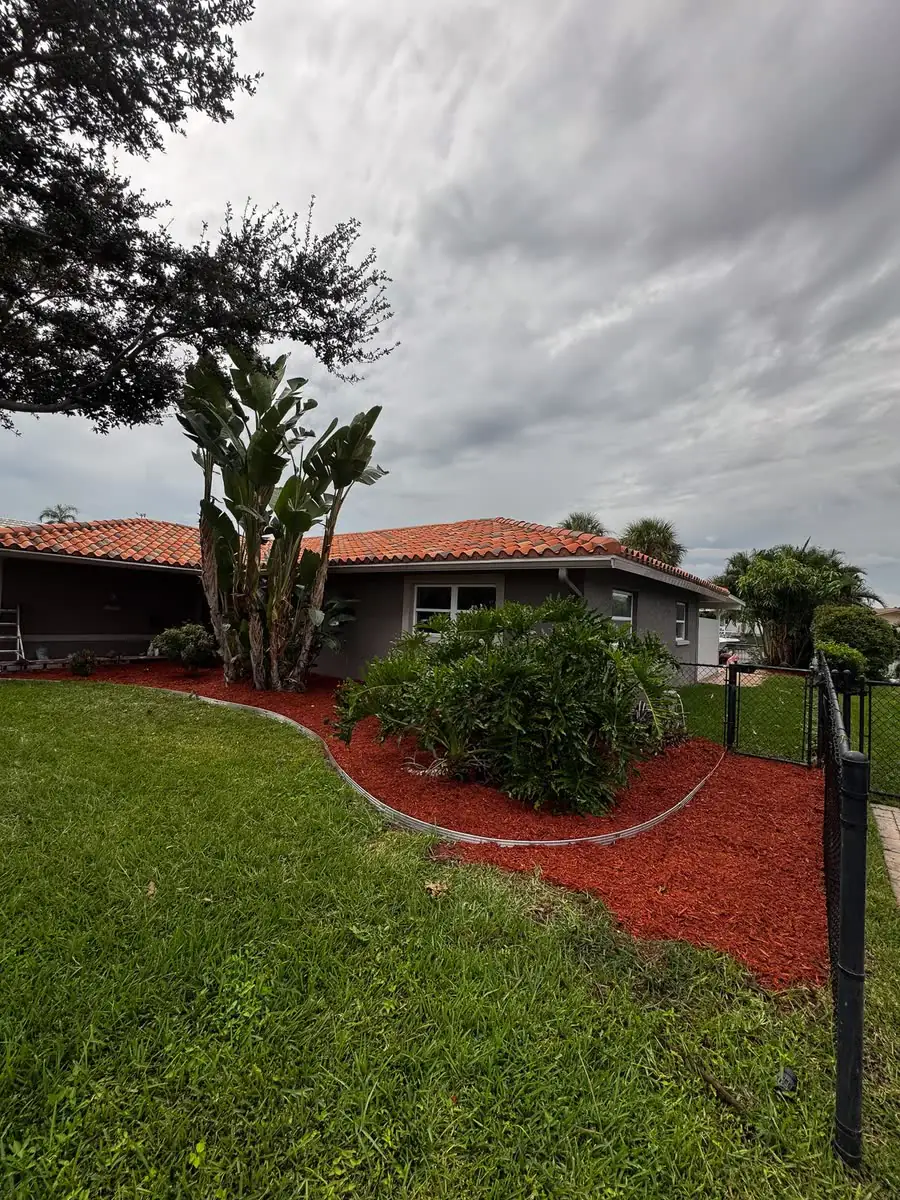 A fresh red mulch bed along a lawn and a palm.